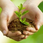 Bumi adalah Kita: Menjaga Bumi Adalah Menjaga Diri Kita Sendiri