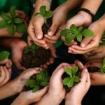 Urgensi Analisis Mengenai Dampak Lingkungan (Amdal) terhadap Kemaslahatan Ummat dalam Mencapai SDGs Indonesia